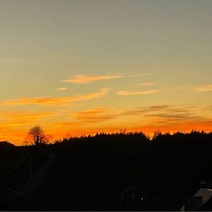 Meet your Posher, Mya